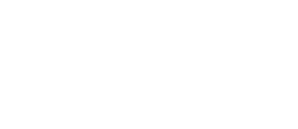 WSC finance logo